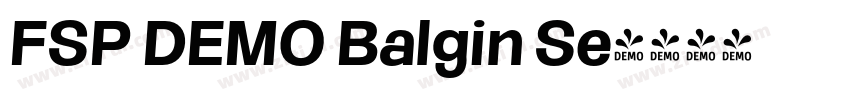 FSP DEMO Balgin Se字体转换 FSP DEMO Balgin Se字体转换